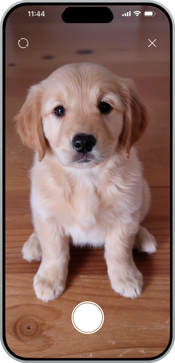 開啟相機功能的畫面