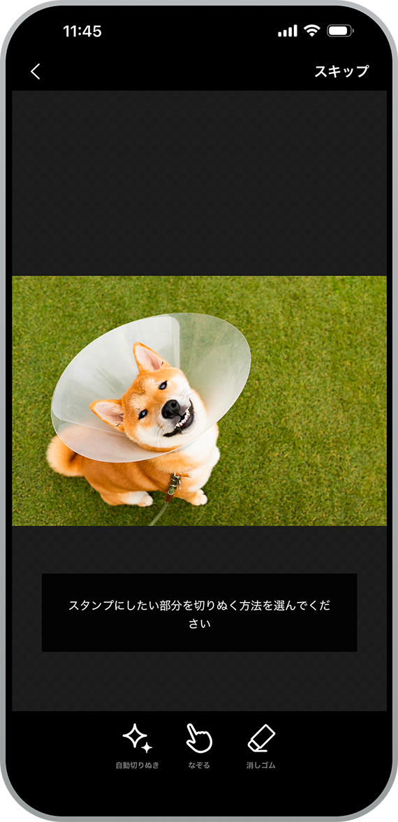 写真を切りぬく