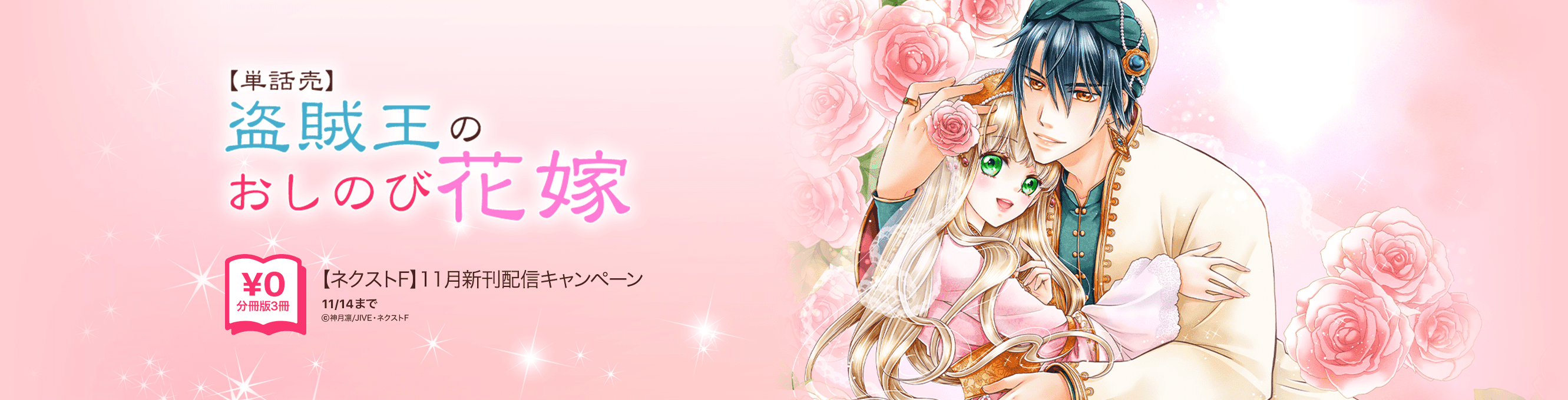 暴君ヴァーデルの花嫁 初夜編 漫画 1巻から10巻 無料 試し読み 価格比較 マンガリスト 暴君ヴァーデルの花嫁 初夜編 漫画 1巻から10巻 無料 試し読み 価格比較 マンガリスト