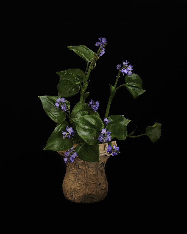 新元号 令和 ローマ字表記はr L 内閣官房に聞いてみた