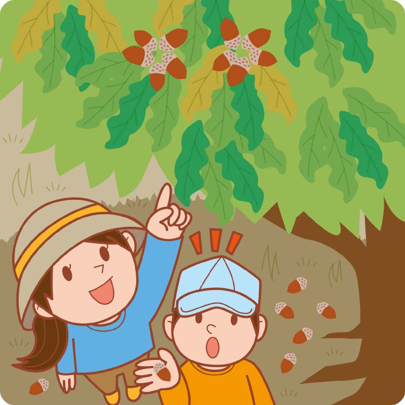 ヒャダ兄さん 褒められて伸びる は甘え ヒャダ兄さん 褒められて伸びる は甘え