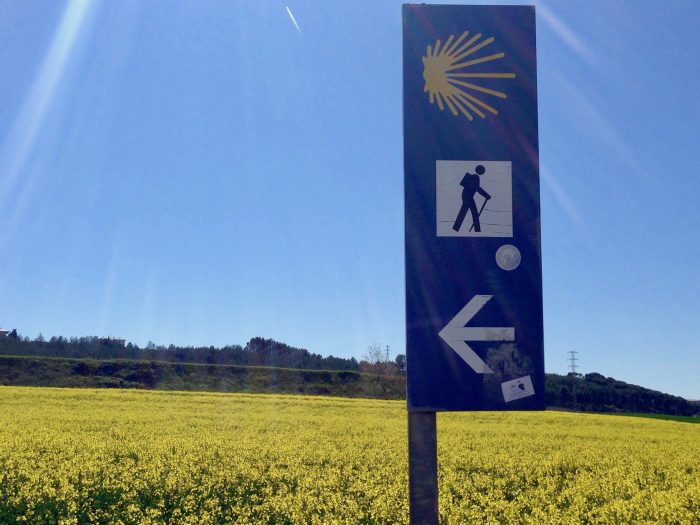 第1章 巡礼旅は怖くない 9 英語が苦手でも問題なし