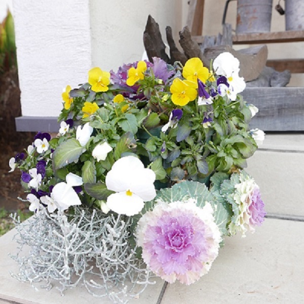 強い骨プロジェクト 低下する運動神経に要注意 これできる チェックリスト