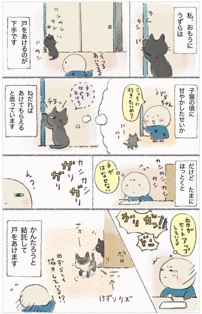 戸を開けてもらうまでの粘り強さはすごいね うずらさん