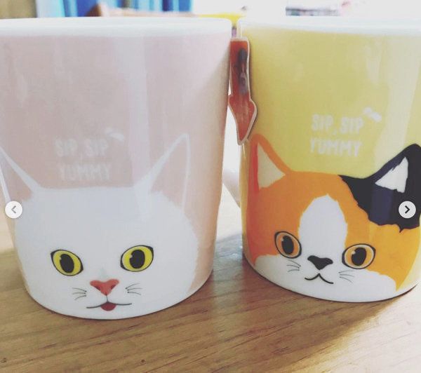 ダイソーの猫マグカップ かわいさの秘密は隠れた 底