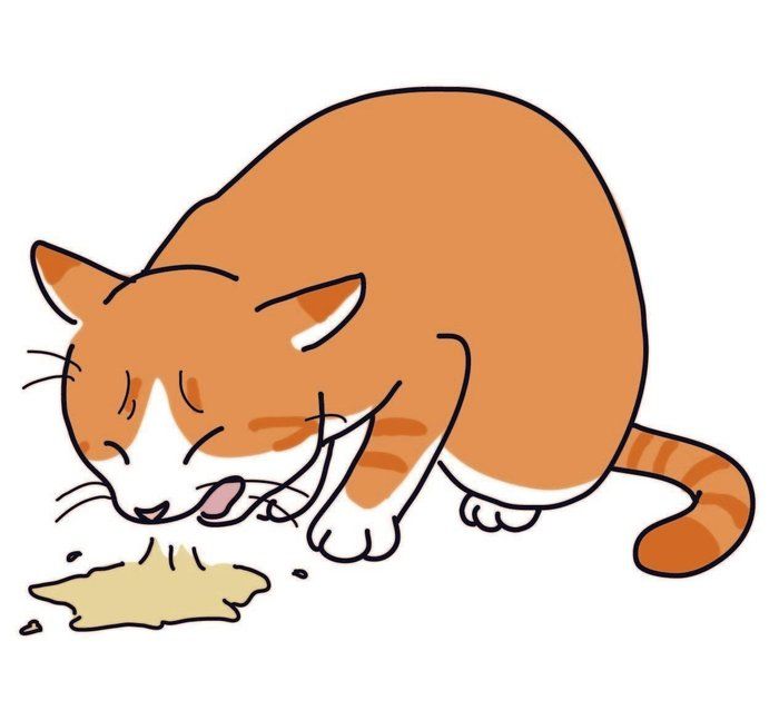 吐く 下痢 が心配 猫の消化器の異常とは