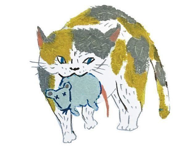 毎日チェックしたくなる おすすめ猫ブログ5選 ねこのきもちnews