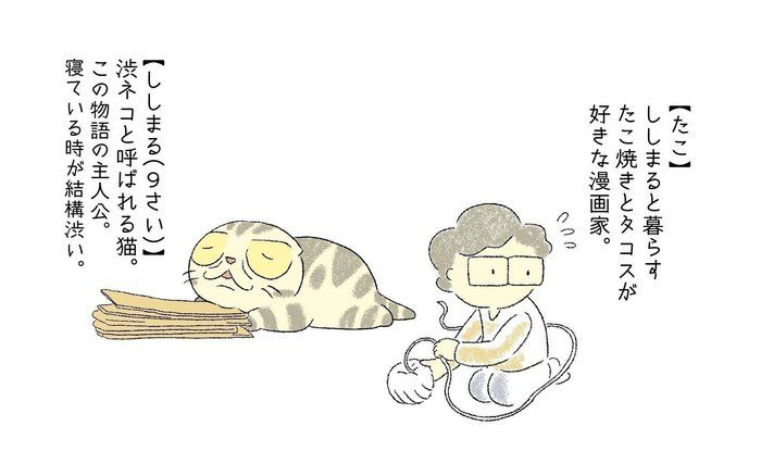 猫トイレの置き場所 Ng例 上手な移動方法とは