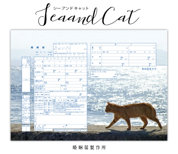猫と電車で移動するときに気をつけたい5つのポイント
