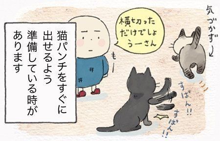 猫がこだわるパーソナルスペース 距離感を間違えると高速パンチが ねこ連れ草 109話め ねこのきもちnews Line News