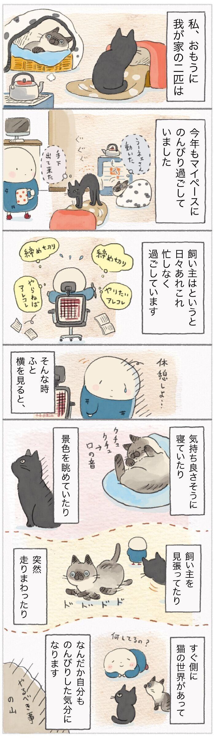 100均素材でアレンジ フェルトボールで作るカラフル かわいい手作り猫ベッド ねこのきもちnews Line News