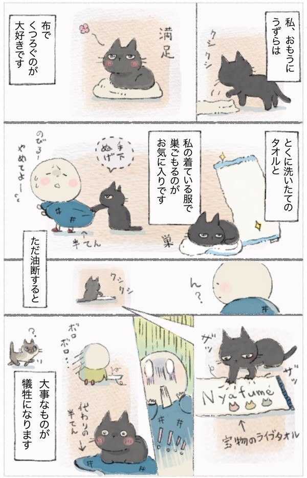 油断禁物 大事にしているものほど狙われる 涙 ねこ連れ草 12話め ねこのきもちnews Line News