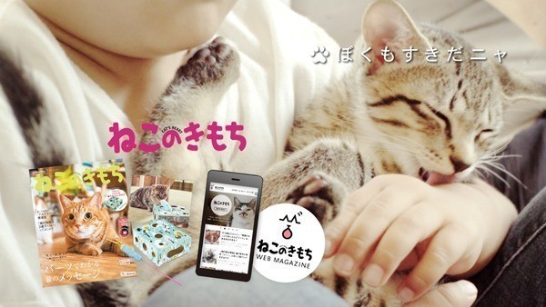 ねこのきもちcm ネコ語しゃべれるの 篇 ねこのきもちnews Line News