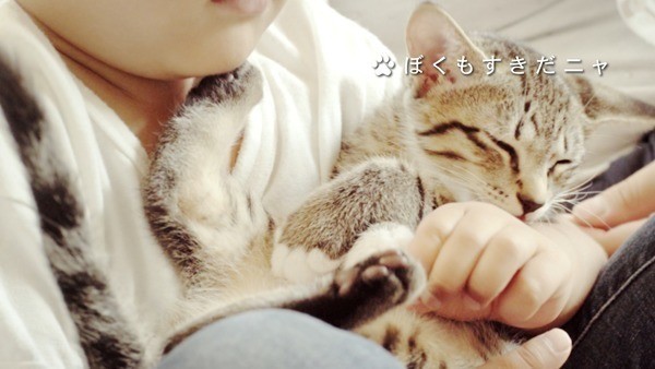 ねこのきもちcm ネコ語しゃべれるの 篇 ねこのきもちnews Line News