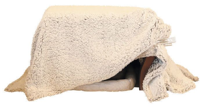寒い季節の猫のお留守番対策と暖房器具の取り入れ方 注意点について ねこのきもちnews