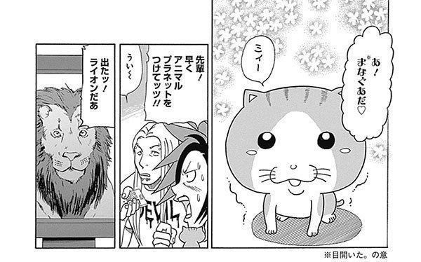 猫父 となったv系バンドマンに 子猫がかわいい行動を見せ始めた ねこのきもちnews Line News 猫父 となったv系バンドマンに 子猫がかわいい行動を見せ始めた ねこのきもちnews Line News