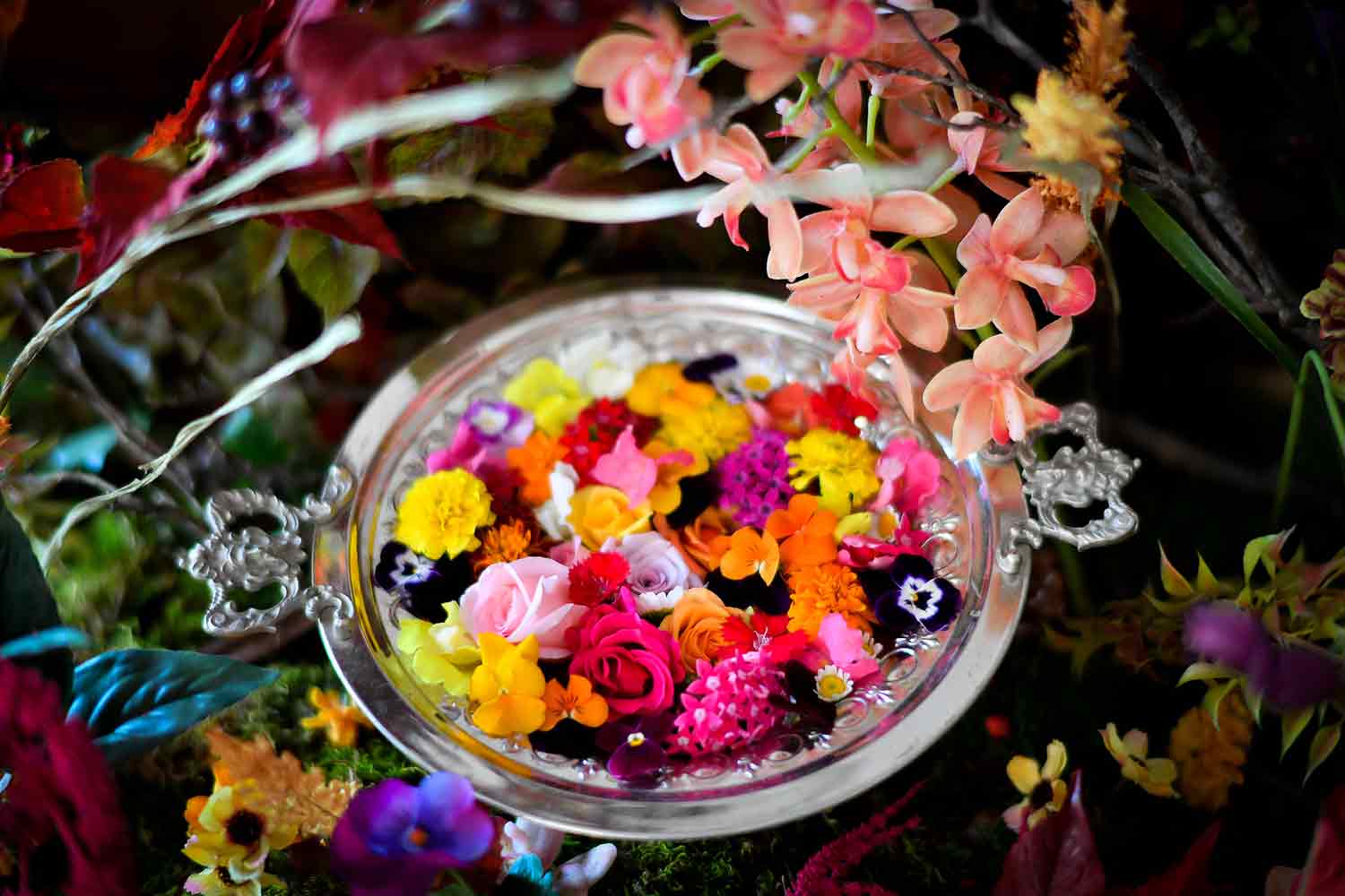 美しすぎるモヒートに驚愕 食べられる花 をアートイベントで体験