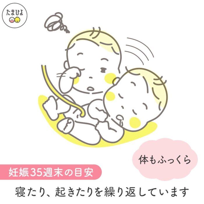 動画 妊婦さん必見 今 おなかの赤ちゃんは何してる 妊娠5 10ヶ月 たまひよ Online Line News 動画 妊婦さん必見 今 おなかの赤ちゃんは何してる 妊娠5 10ヶ月 たまひよ Online Line News