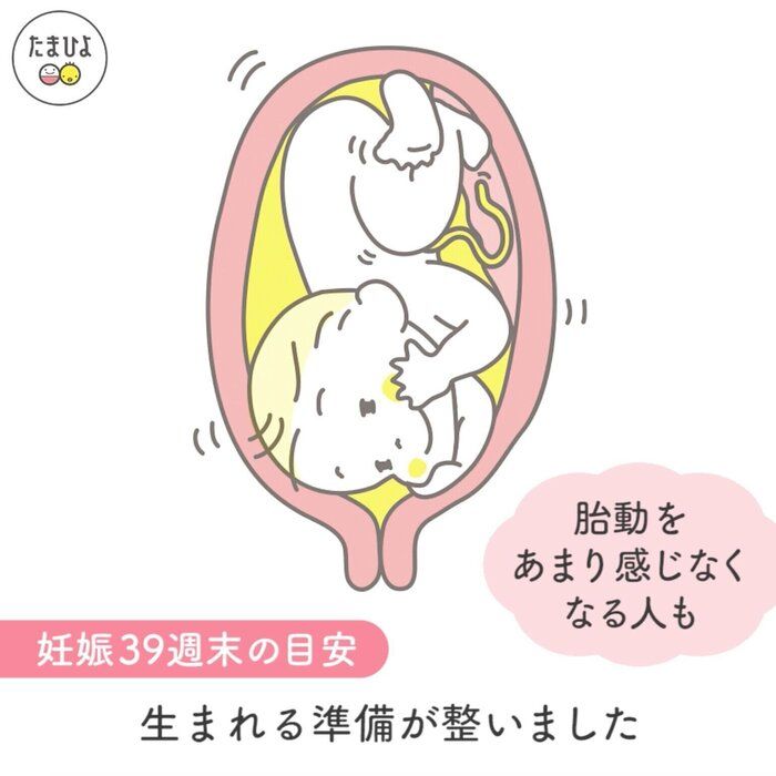 動画 妊婦さん必見 今 おなかの赤ちゃんは何してる 妊娠5 10ヶ月 たまひよ Online Line News