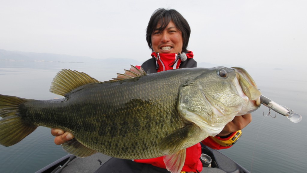 バス釣りルアーの使い方 ジャークベイト編 琵琶湖春夏