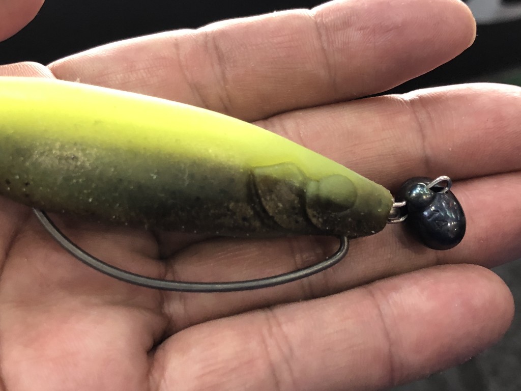 アオリイカ料理レシピ集 アオリイカの栄養について