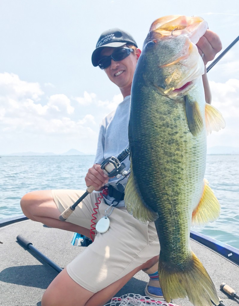 琵琶湖バス釣り パンチショットリグでの誘い方の超キモ