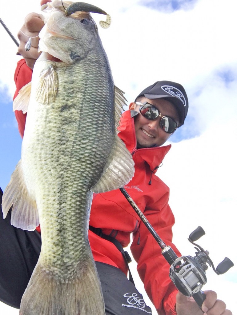 琵琶湖 夏秋対応 夏といえばコレ パンチショットリグ ルアーニュースｒ