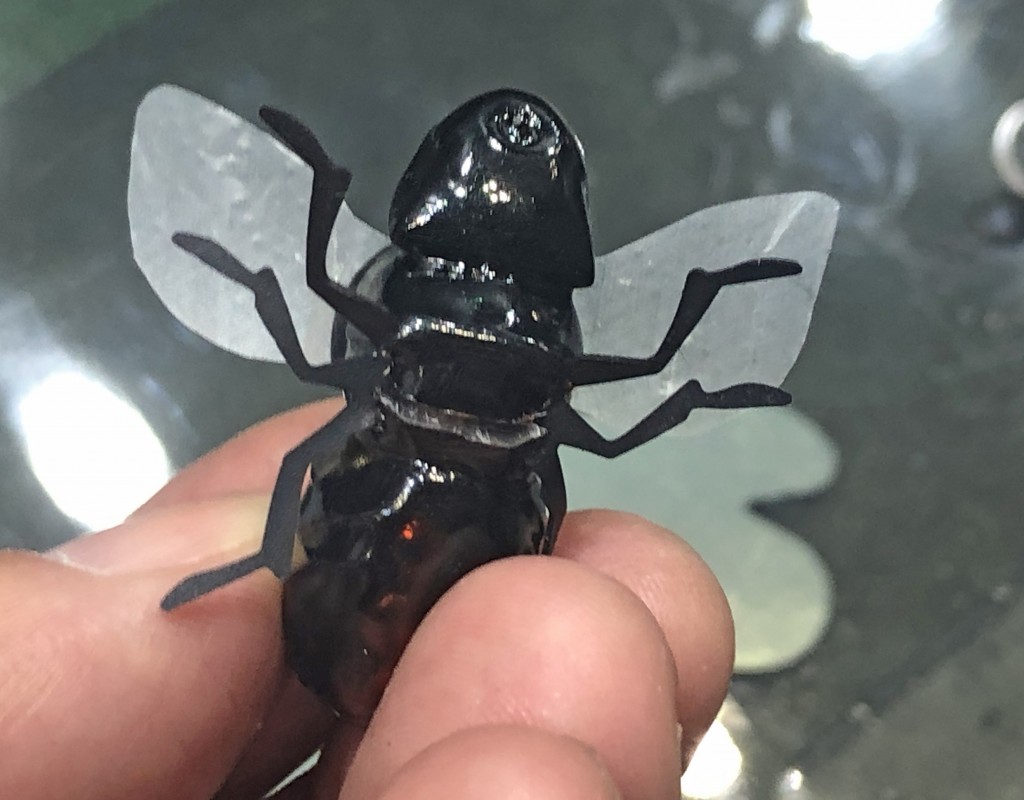 ジャッカル加藤誠司の本気ムシルアーを紹介 ビニール製透明ウイングほかリアルな虫の表面張力を追求