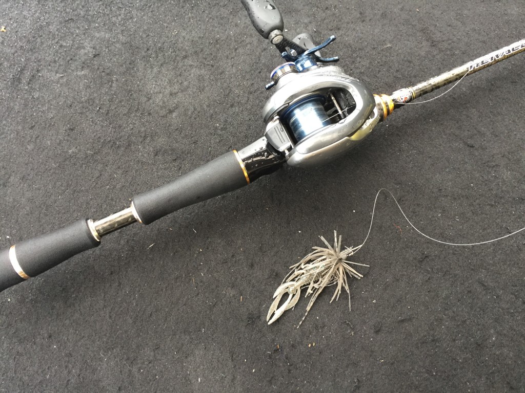 ディープアジングの基礎知識を村上晴彦が動画で詳しく紹介