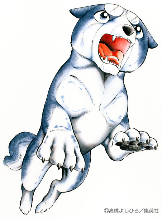 銀牙 流れ星銀 ウィード オリオン THE LAST WARS