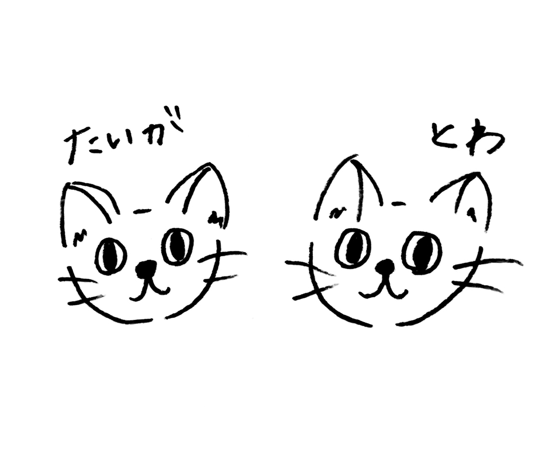 ノンノモデルが愛猫トーク 貴島明日香のにゃんず通信 02にゃんず自己紹介 Non No Line News