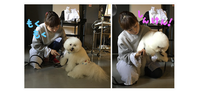 連載0回 オレちゃんモデルだyo