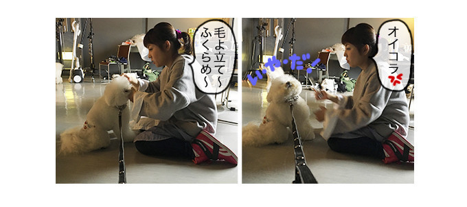 連載0回 オレちゃんモデルだyo