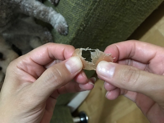 めちゃうま ディハイドレーターで作るジャーキーがワンコに大好評らしい