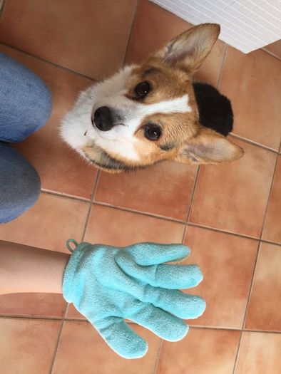 換毛期に気を付けたい肌トラブルとケア方法