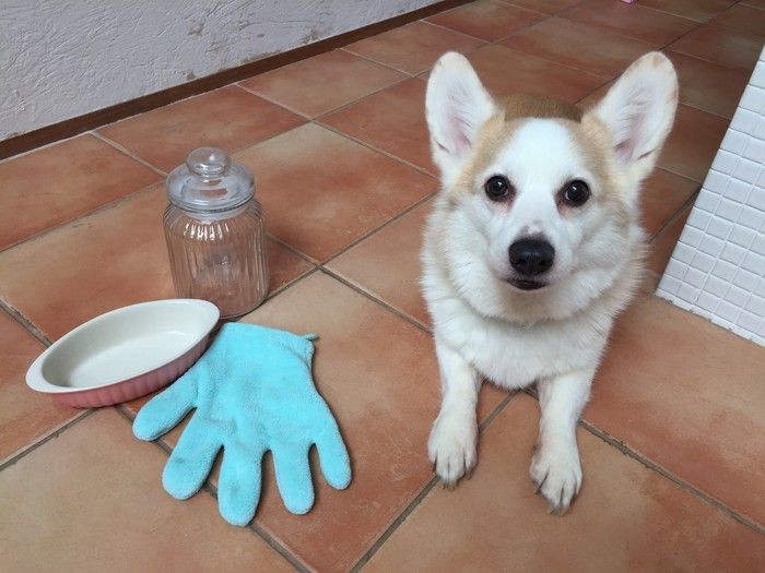 換毛期に気を付けたい肌トラブルとケア方法