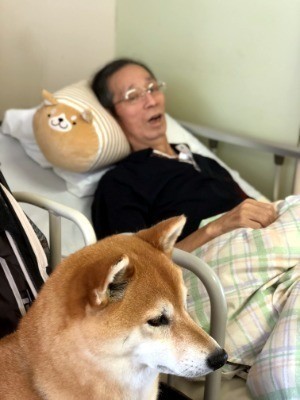 愛犬のお手入れをもっと簡単に 足拭き 耳掃除 歯磨き