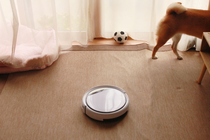 専門家が解説 鏡に映る自分をどのように認識してる