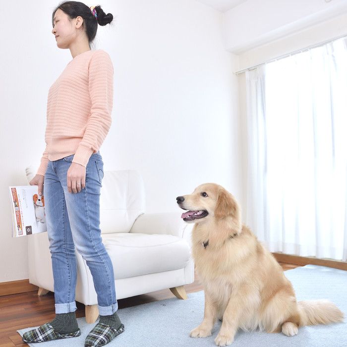 犬が逆立ちしてオシッコする理由を獣医師に聞いてみた