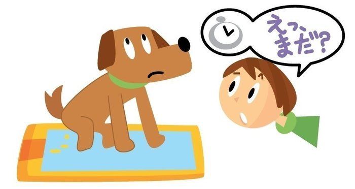 犬の 認知症 なりやすい犬種 発症年齢はいつ頃