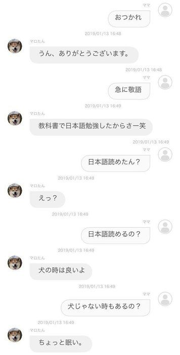 柴犬マロたん アプリでお散歩記録を付け始めました