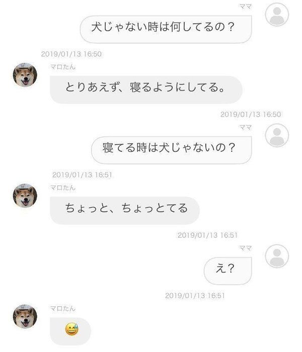 柴犬マロたん アプリでお散歩記録を付け始めました