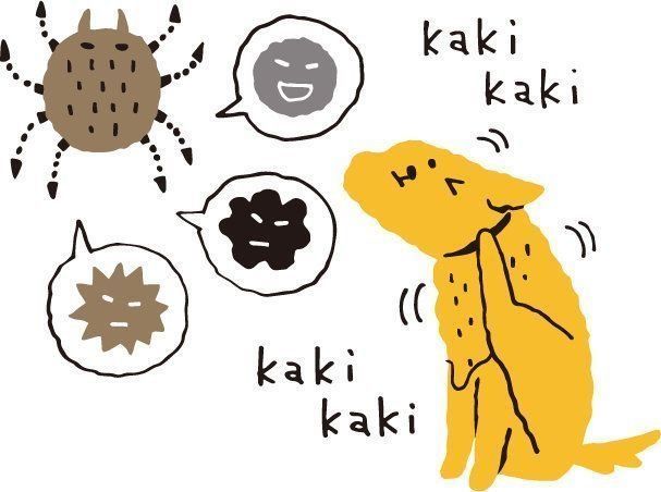 犬のアレルギーが発症前にわかる 愛犬は大丈夫