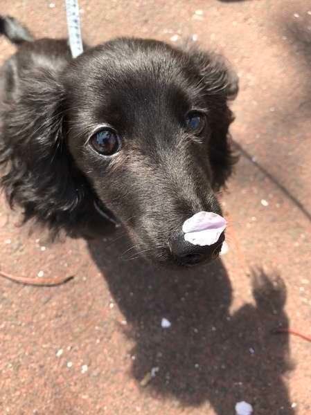 換毛期に気を付けたい肌トラブルとケア方法