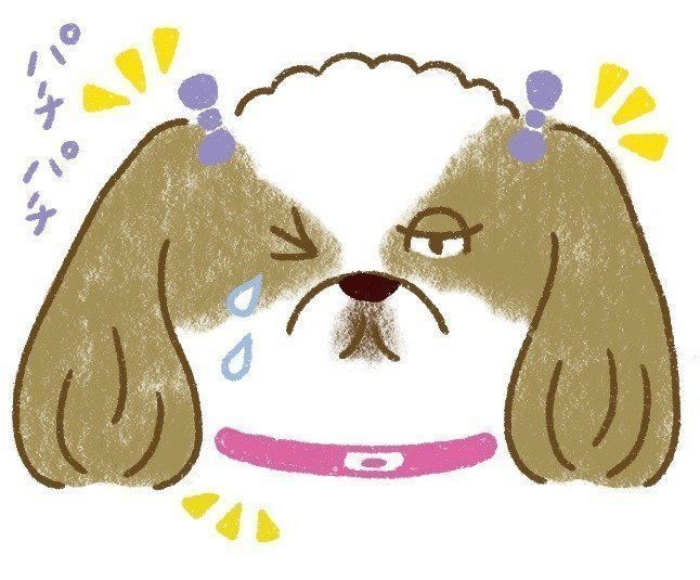 飼い主さんが気づきにくい犬の恐ろしい病気５選