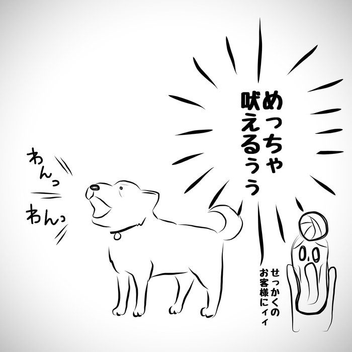 来客に吠えるおばあちゃん犬 でもそっちじゃないよ