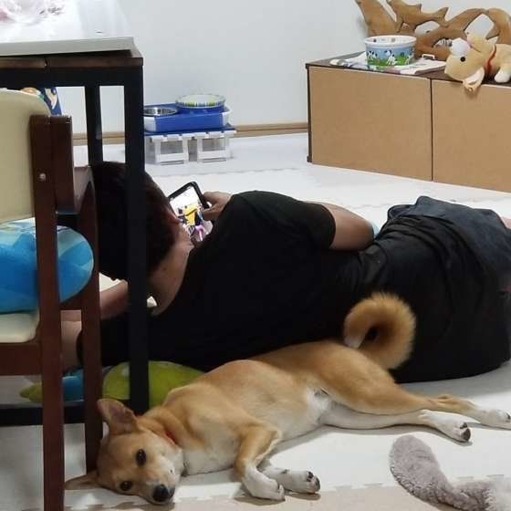 背中やお尻を飼い主さんにピタリ 愛犬はどんな気持ち