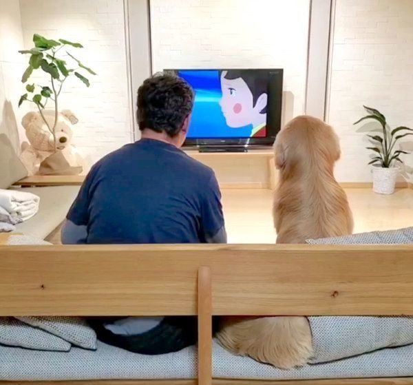 まるで新婚夫婦 アニメを鑑賞する犬とパパの後ろ姿に反響 いぬのきもちnews Line News