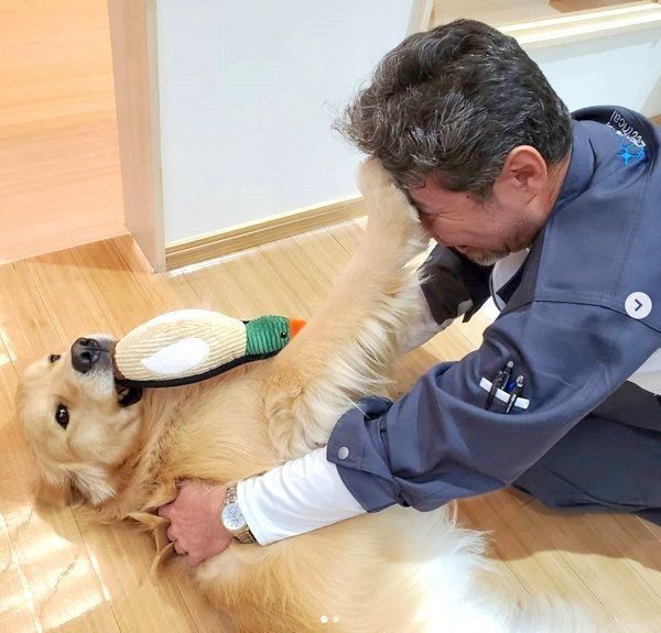 家路を急ぎたくなる パパの帰宅を待つ犬の 愛が溢れる行動 に反響 いぬのきもちnews Line News 家路を急ぎたくなる パパの帰宅を待つ犬の 愛が溢れる行動 に反響 いぬのきもちnews Line News