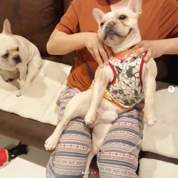 そこです そこそこ マッサージでとろける犬の表情に悶絶 いぬのきもちnews Line News